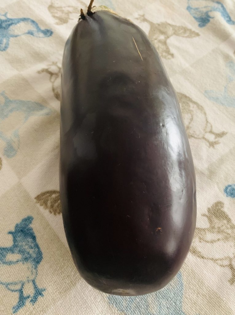American Eggplant